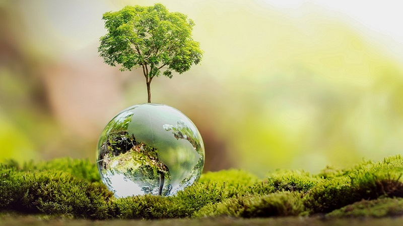 競艇予想サイト 格付け.com